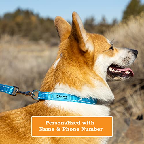 Personalized Reflective Nylon Dog Collars with Customized Name