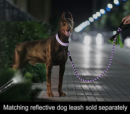 Taglory Custom Embroidered Reflective Dog Collar, Purple