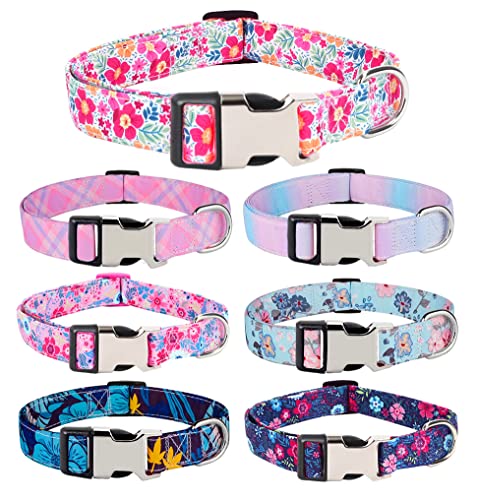 Floral Engraved Personalized Dog Collar - Customized for Dogs