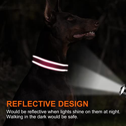 Personalized Reflective Nylon Dog Collar for Large Dogs