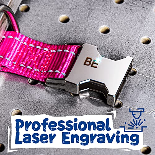 Custom Nylon Dog Collars with Engraved Name Plate