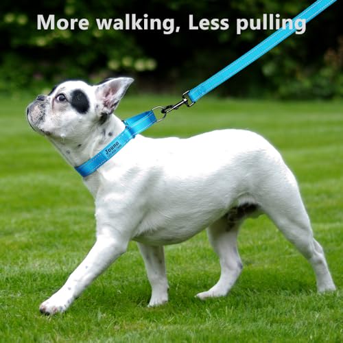 Custom Martingale Dog Collar with Quick Release Buckle