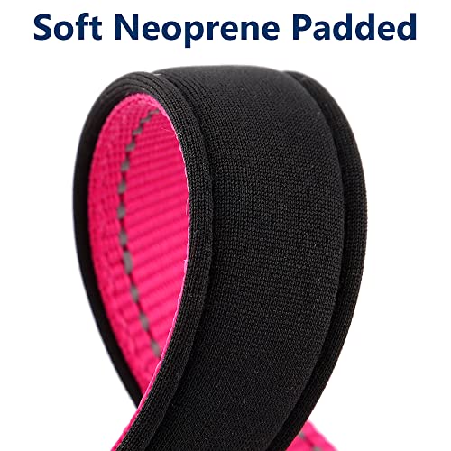 Customized Reflective Dog Collars with Personalized Name & Number