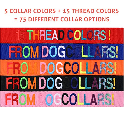 Personalized Embroidered Dog Collar with Pet Name & Phone