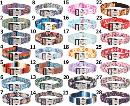 Personalized Engraved Dog Collar with Adjustable Size