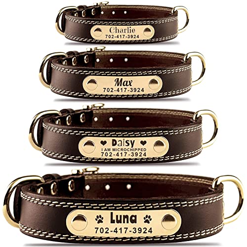 Custom Leather Dog Collar with Engravable Nameplate