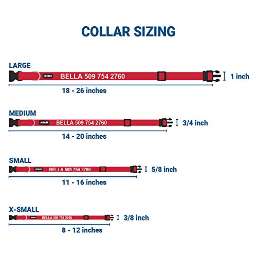 Personalized Embroidered Dog Collar with Pet Name & Phone