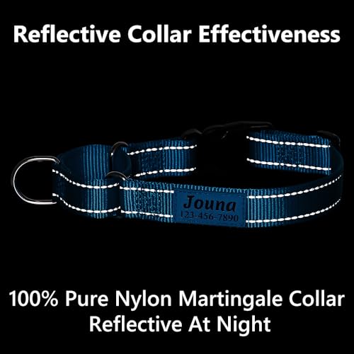 Custom Martingale Dog Collar with Quick Release Buckle