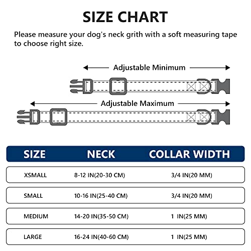 Customized Reflective Dog Collars with Personalized Name & Number