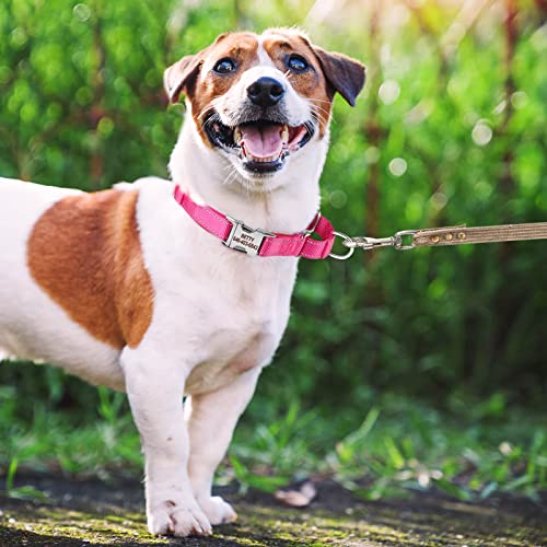 Custom Reflective Martingale Collar with Personalized Embroidery