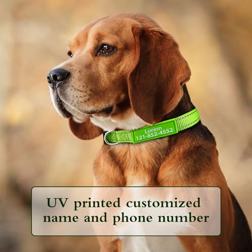 Reflective Nylon Personalized Dog Collar with Custom ID
