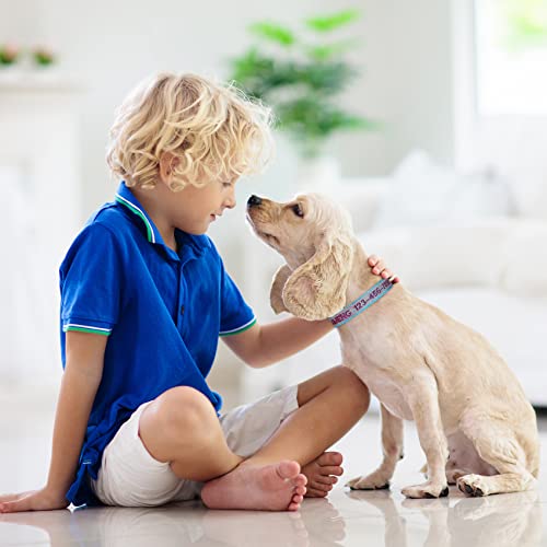 Personalized Reflective Dog Collar with Embroidered Name and Number