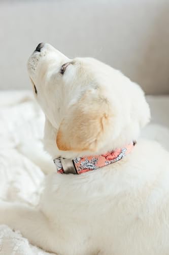 Floral Dog Collar with Personalized Laser Engraving