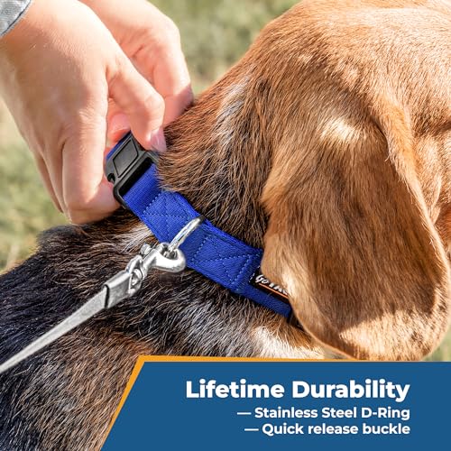 Personalized Dog Collar with Custom Embroidery for Pets