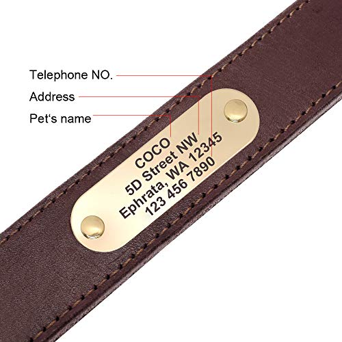 Custom Engraved Leather Dog Collar for Medium Large Dogs