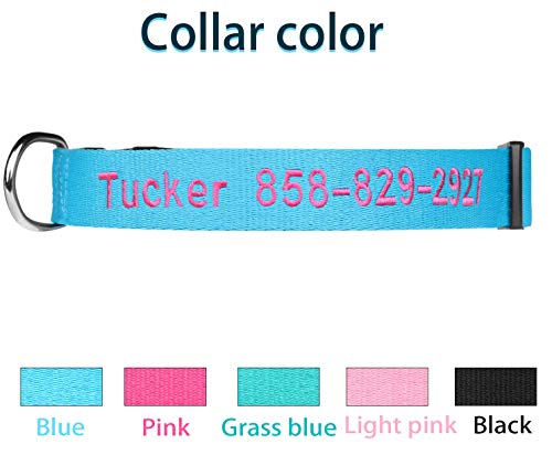 Blue FlowerTown Personalized Dog Collar with Embroidered Name