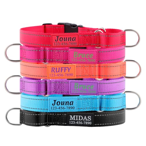 Custom Martingale Dog Collar with Quick Release Buckle