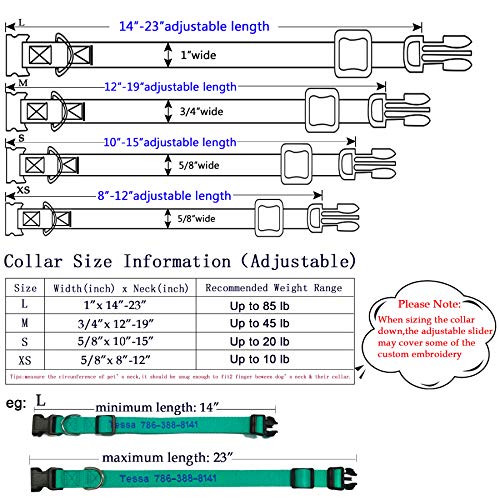 Blue FlowerTown Personalized Dog Collar with Embroidered Name