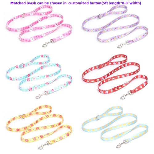 Personalized Engraved Dog Collar with Adjustable Size