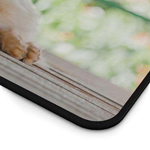 Personalized Dog Feeding Mat with Photo and Name