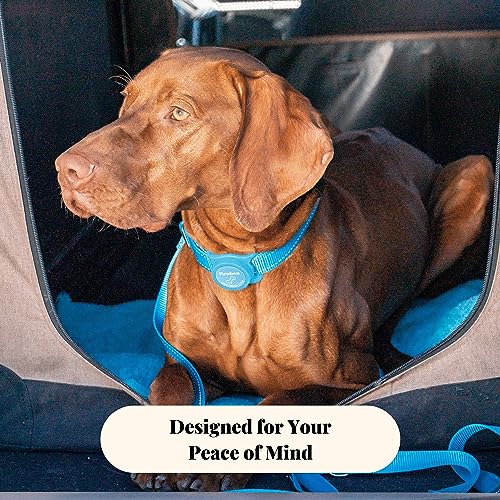 Personalized Airtag Holder for Dog and Cat Collars