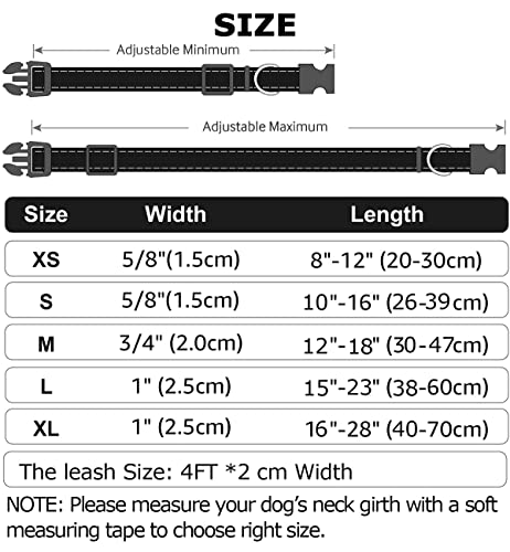 Floral Engraved Personalized Dog Collar - Customized for Dogs