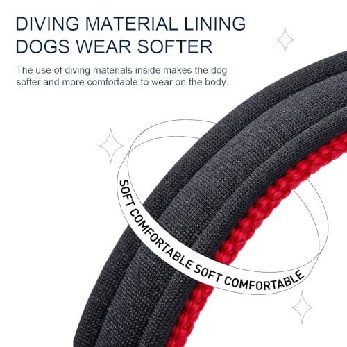 Personalized Reflective Dog Collar with Embroidered Name