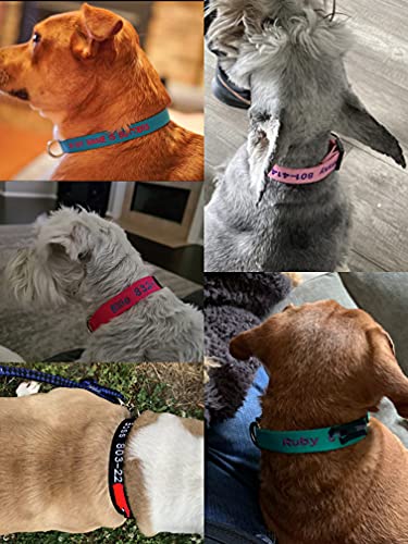 Blue FlowerTown Personalized Dog Collar with Embroidered Name