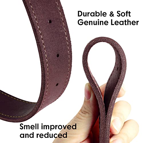 Custom Engraved Leather Dog Collar for Medium Large Dogs