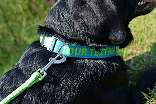 Premium Custom Dog Collar: 20 Colors + Horizontal Text
