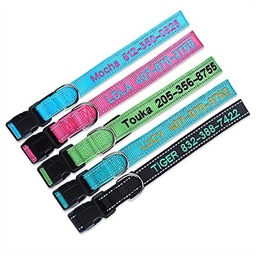 Custom Embroidered Dog Collar with Name and Phone