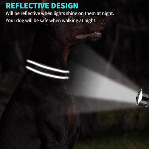 Personalized Reflective Dog Collar with Embroidered Name