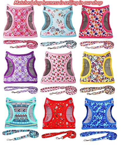 Personalized Engraved Dog Collar with Adjustable Size