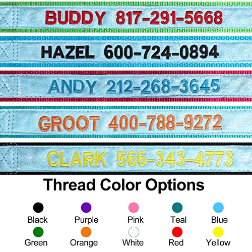 Custom Glowing Reflective Dog Collar with Personalized ID