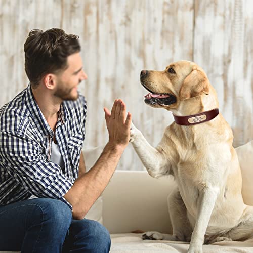 Custom Engraved Leather Dog Collar for Medium Large Dogs