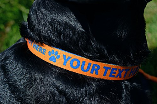 Premium Custom Dog Collar: 20 Colors + Horizontal Text