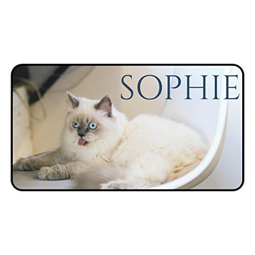 Personalized Large Cat Food Mat - Add Photo, Name