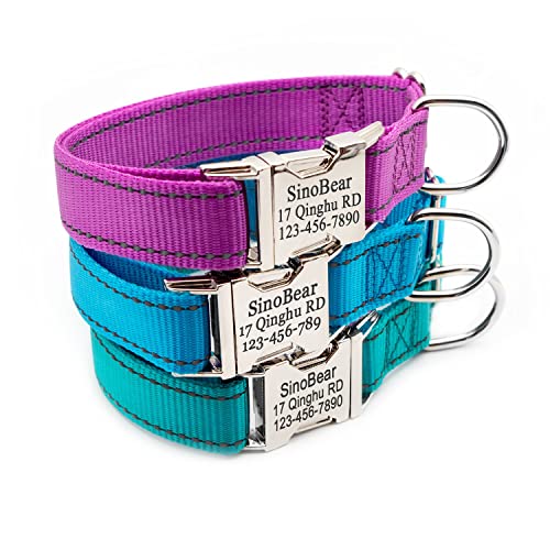 Personalized Reflective Dog Collar with Name & Contact Info