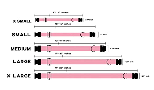 Floral Dog Collar with Personalized Laser Engraving