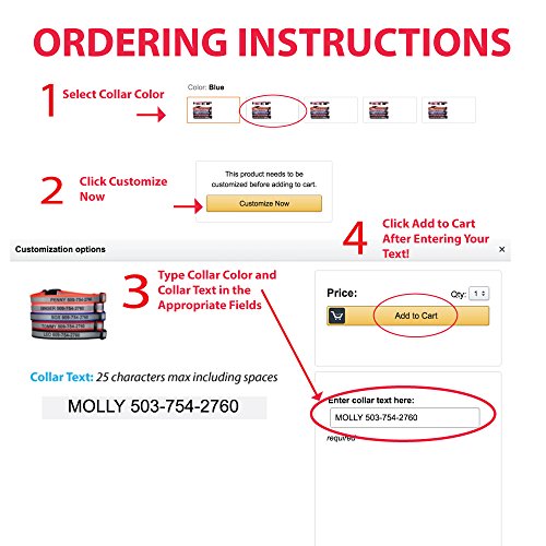 Personalized Reflective Cat Collar with Safety Release Buckle