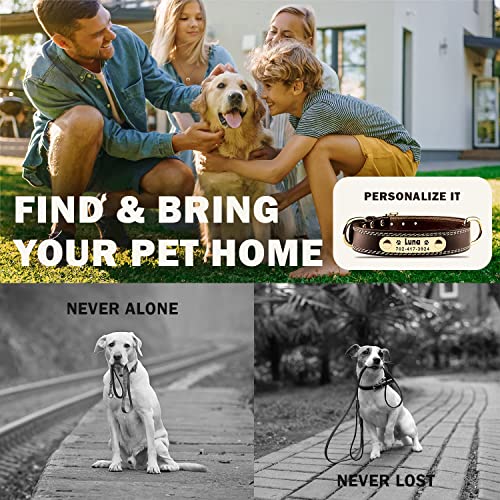 Custom Leather Dog Collar with Engravable Nameplate