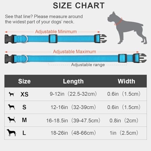 Personalized Reflective Dog Collar with Embroidered Name