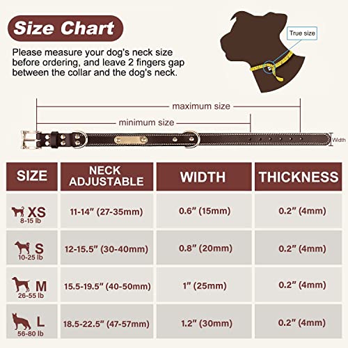 Custom Leather Dog Collar with Engravable Nameplate