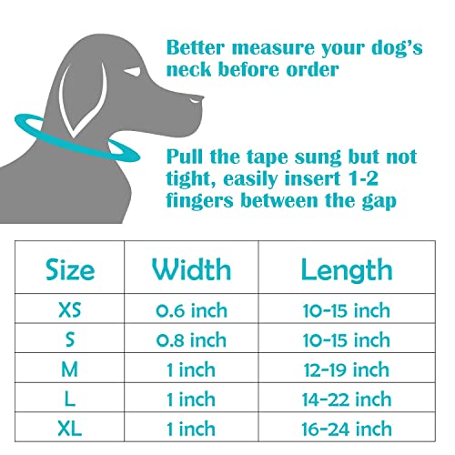 Personalized Reflective Dog Collar with Name & Contact Info