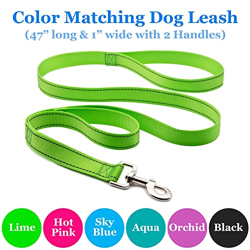 Personalized Reflective Dog Collar with Name & Contact Info