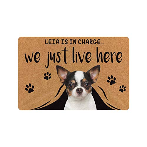 Personalized Pet Doormat - Pet's Name and Picture
