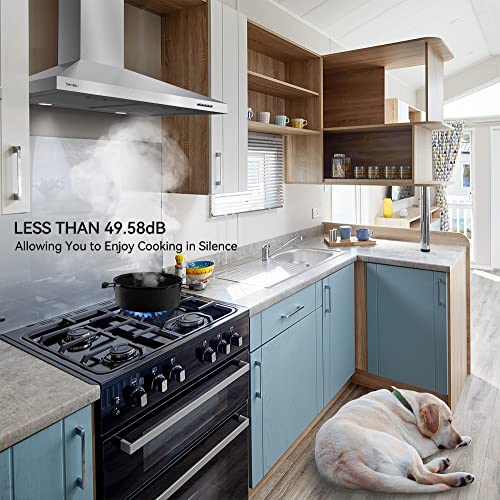30 inch Stainless Steel Wall Mount Range Hood