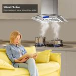 Stainless Steel Island Range Hood - 30 Inch