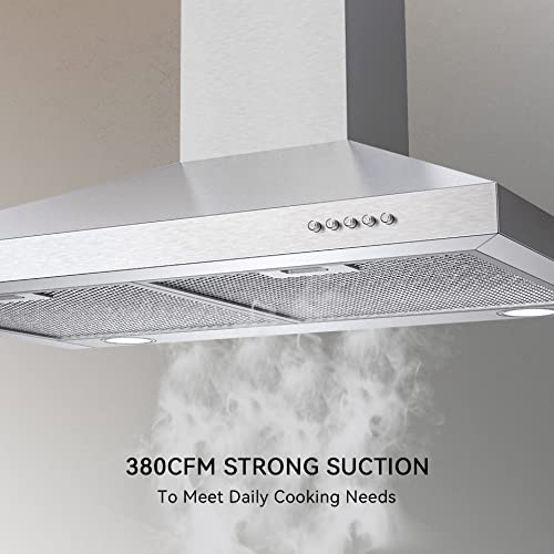 30 inch Stainless Steel Wall Mount Range Hood
