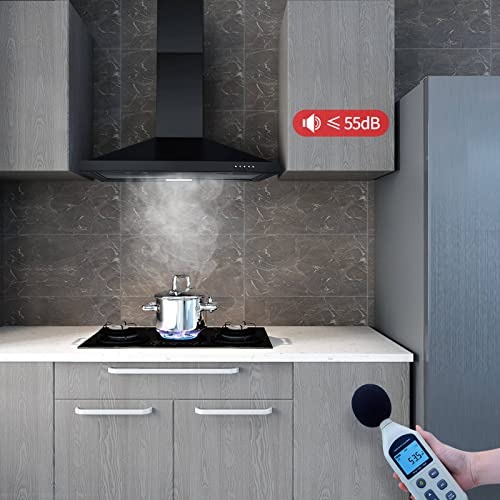 Black 24" Ducted/Ductless Range Hood with LED Light